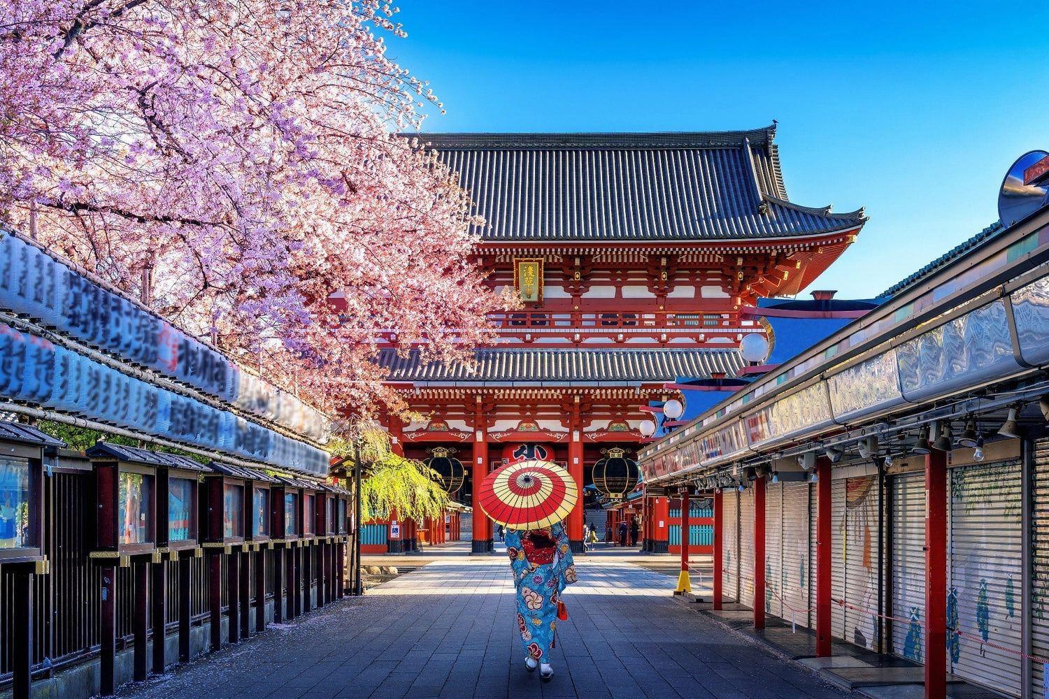 【旅行客必見】一日体験ができる東京の金継ぎ教室5選