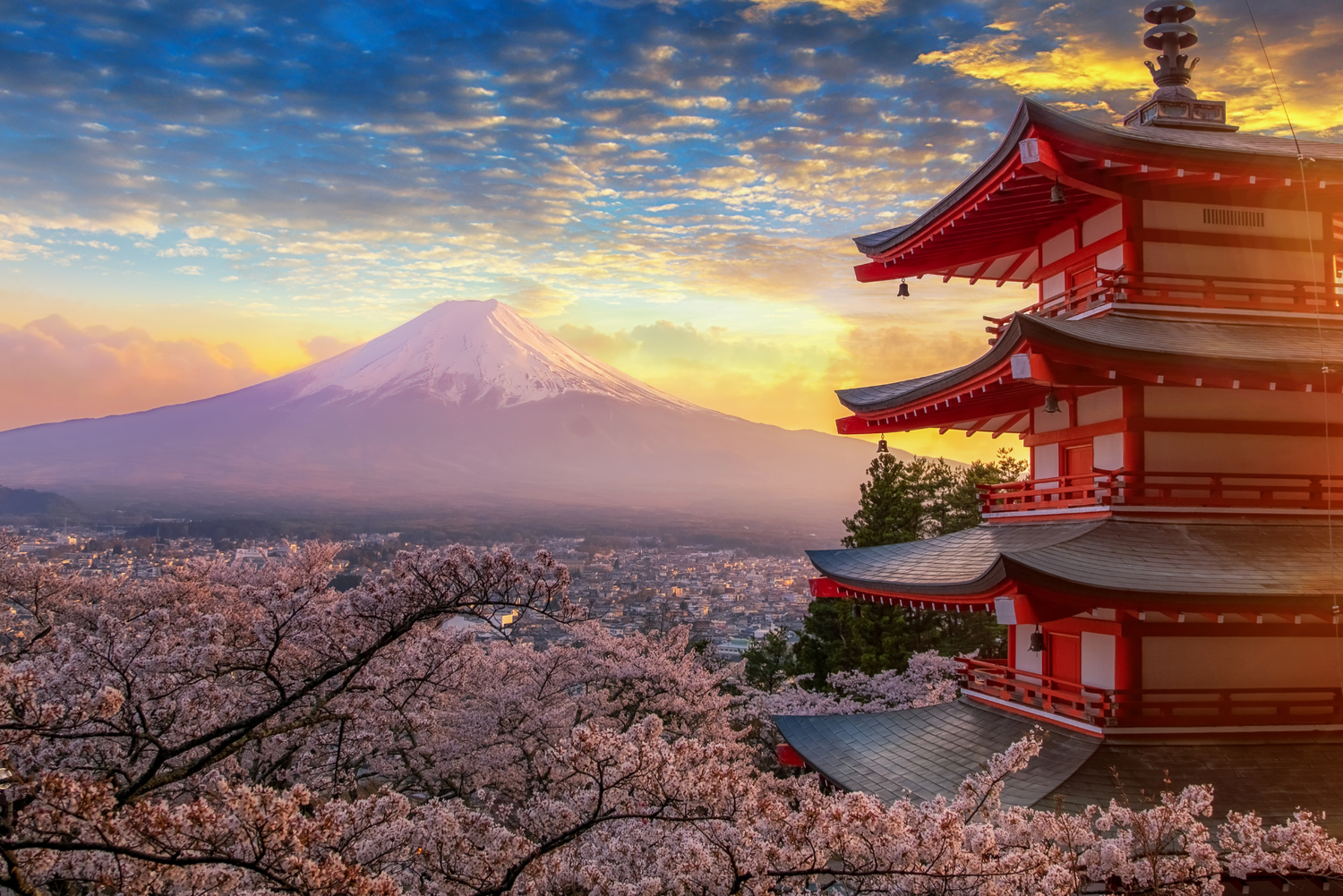 【メディア掲載】「Japan Web Magazine」にANYTSUGIが紹介されました